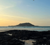 제주도 비행기표 싸게 사는법