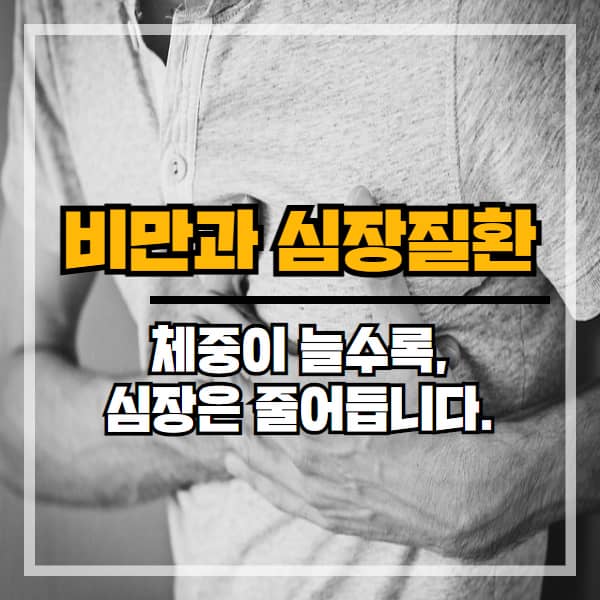 체중이 늘수록, 심장은 줄어듭니다 - 비만과 심장질환