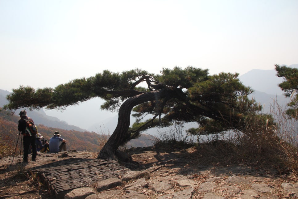 100대 명산 등산하기 두번째 금강산에 비견될 정도로 아름다운 산세 정읍 내장산과 암릉과 절벽의 기세가 돋보이는 산 장성 백암산 