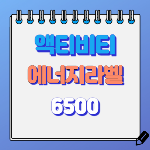 액티비티 에너지레벨 6500