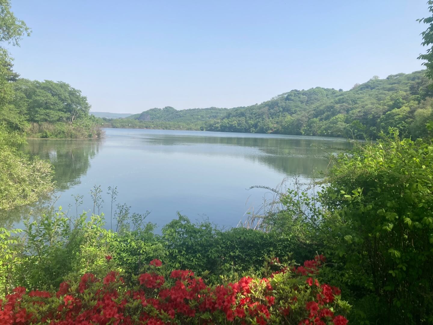 호암미술관 단풍