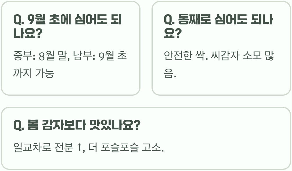 가을 씨감자 심는 시기, 8월을 놓치면 1년을 기다려요!