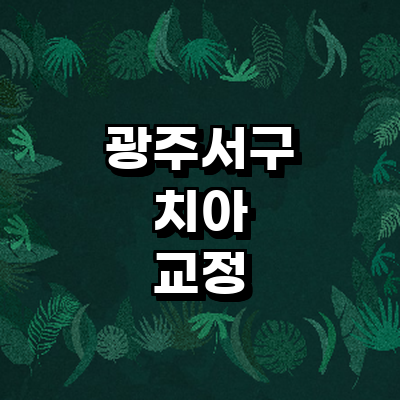 광주 서구 교정 치과