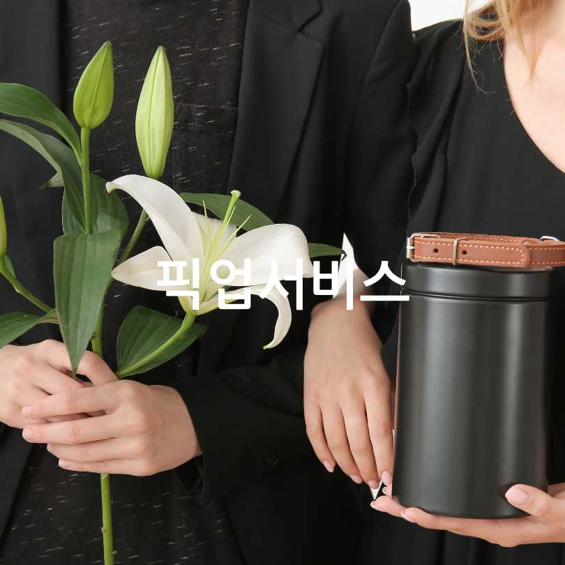 반려동물 장례비용과절차
