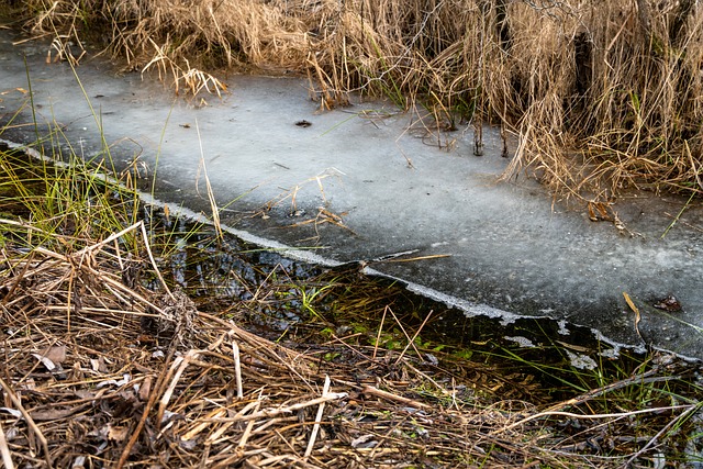 2025년 2월 전국 날씨 예보 한 달 날씨 전망 기온 강수량 예보