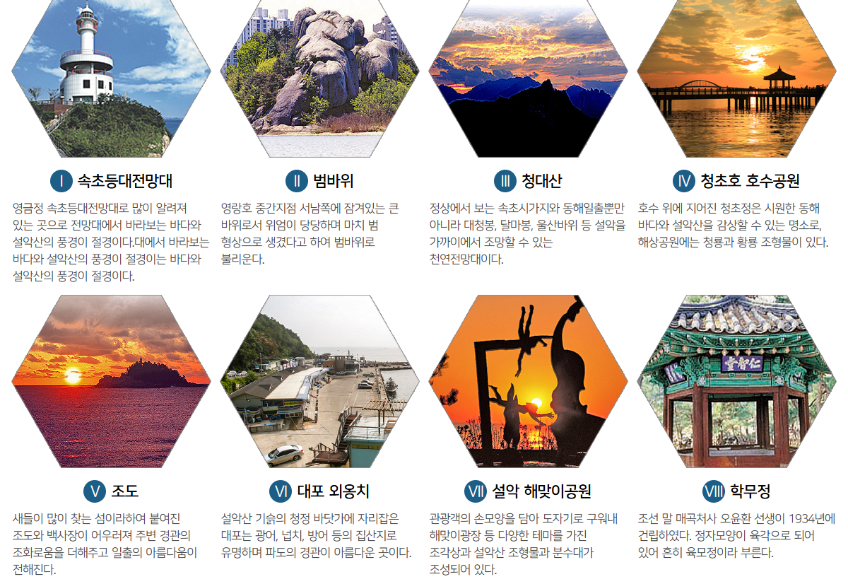 강원도 속초관광수산시장(중앙시장) 먹거리 맛집 영업시간 주차 방법 총정리