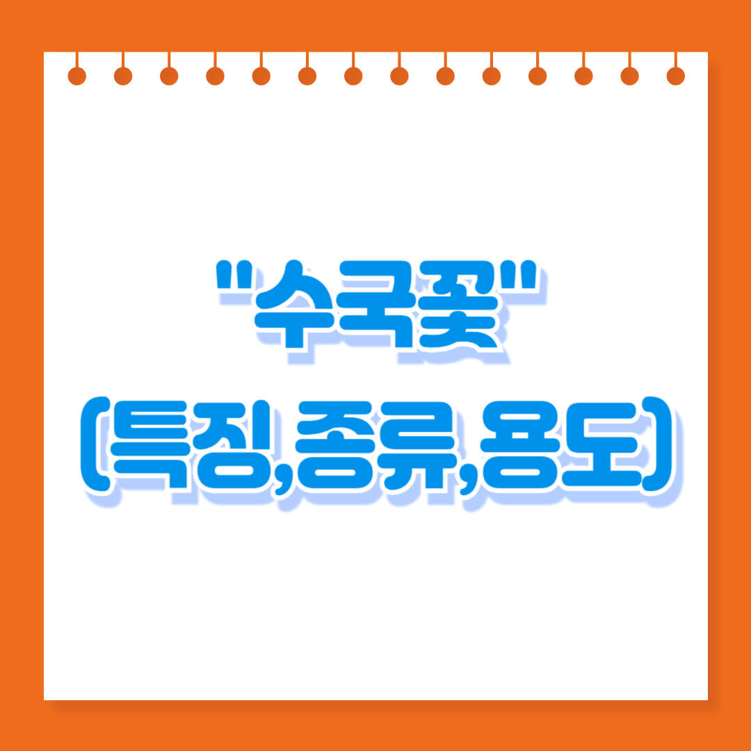 수국-꽃-특징-종류-용도
