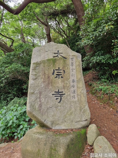 부산 태종대 폭염 여행 리얼후기🌊 여름 필수템 8가지 추천