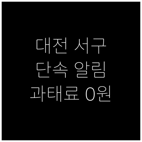 대전 서구 주정차 단속 알림 서비스 ..