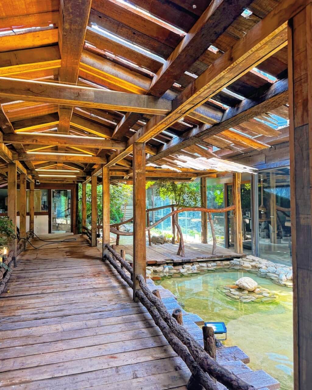 생방송오늘저녁 대파 막창 대구 첫눈에 반한 맛집