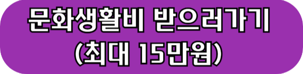 문화예술패스