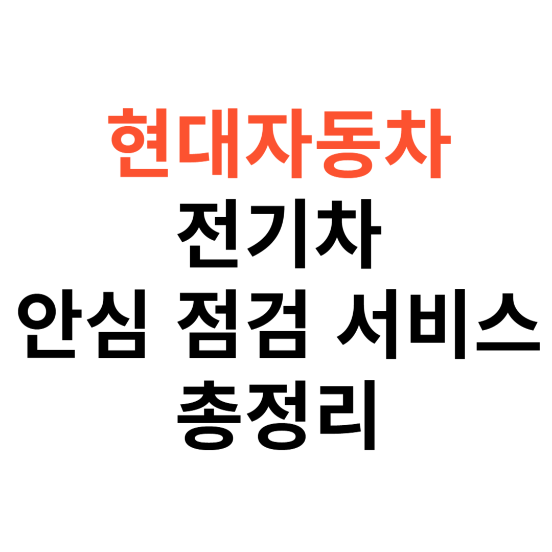 전기차 안심 점검 서비스