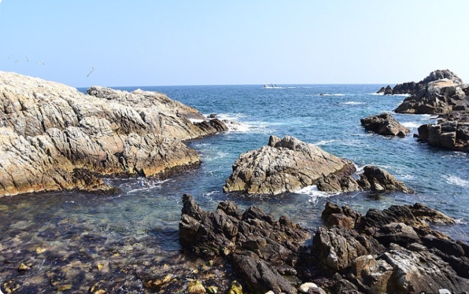 장호항 & 용화해변