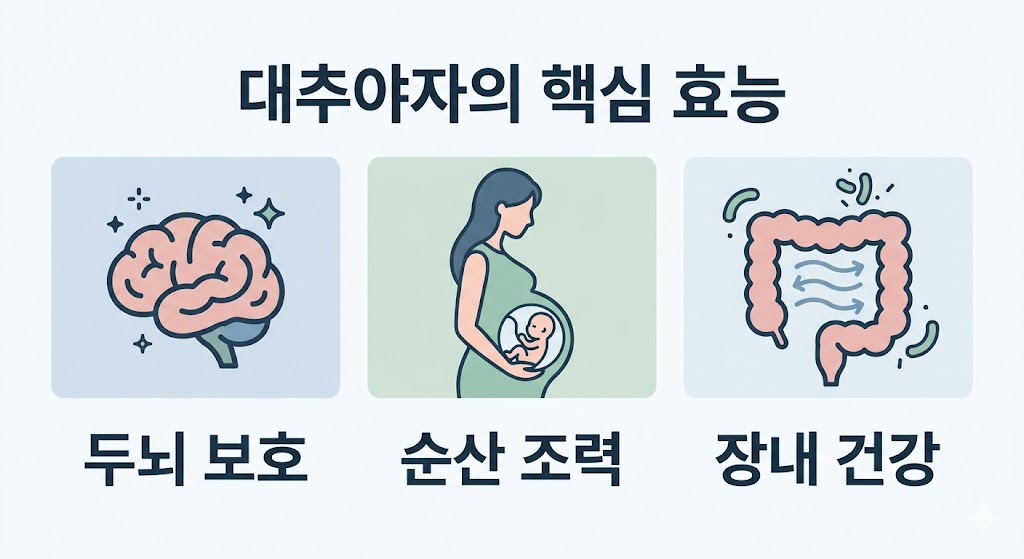 대추야자의 주요 효능 세 가지를 직관적인 아이콘으로 나타낸 플랫 디자인 이미지입니다. 좌측부터 두뇌 보호를 상징하는 뇌, 순산을 돕는 임산부, 장내 건강을 의미하는 장 아이콘이 배치되어 있으며, 하단에 굵고 명확한 한글 텍스트를 배치해 정보 전달력을 극대화한 심플한 구성입니다.
