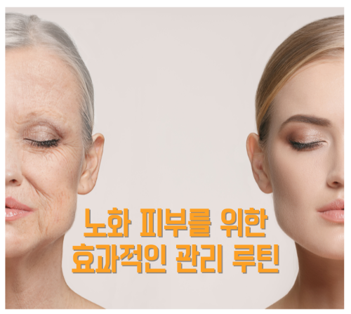 나이가 들면 자연스럽게 피부 노화가 일어나지만 올바른 피부 관리 루틴을 유지하면 노화 속도를 늦추고 건강한 피부를 유지할 수 있습니다. 노화 피부를 위한 효과적인 관리 루틴을 단계별로 소개해 드리겠습니다.