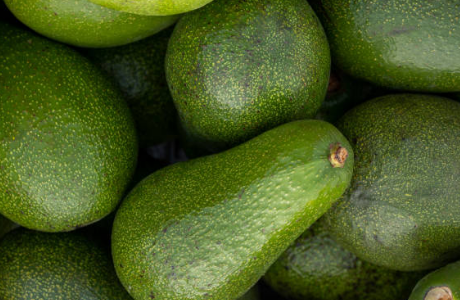 아보카도 효능, 부작용, 먹는 방법 총정리 (2024ver)