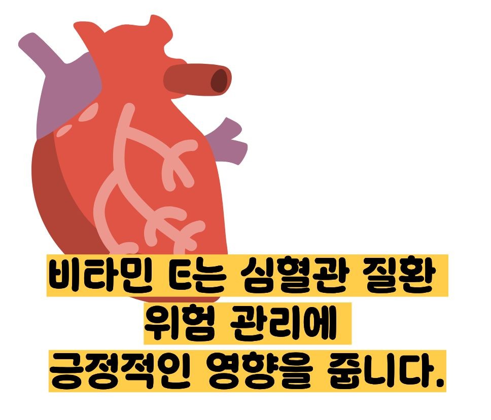 비타민e의 효능