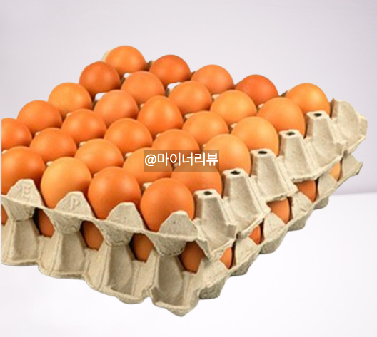 전지적감견시점 이영자 동충하초 반숙란 믹서기 우유곽 컵 물컵 엄지칼 제철음식 달력 유미하우스 아이템 정보