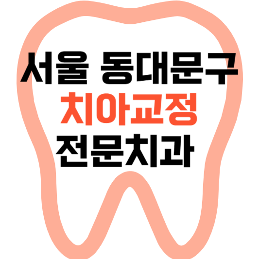서울 동대문구 치아교정 치과 잘하는 곳 전문 치과 추천 .png