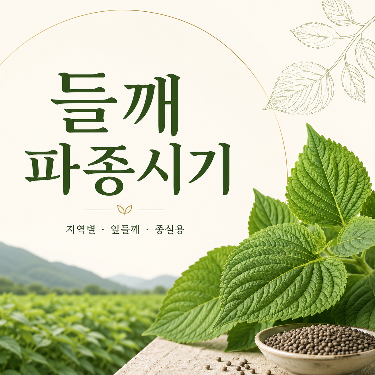들깨 파종시기