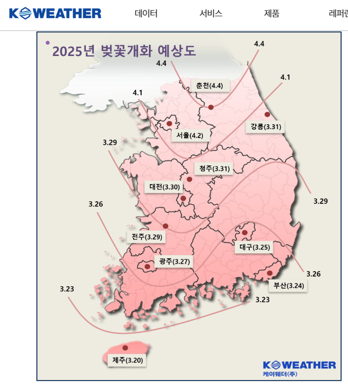 2025 
케이웨더의 개화 시기 예측