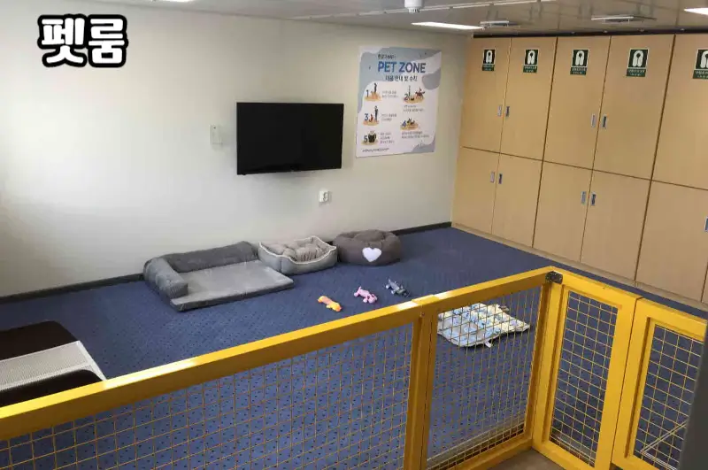 실버스텔라호-객실-펫룸