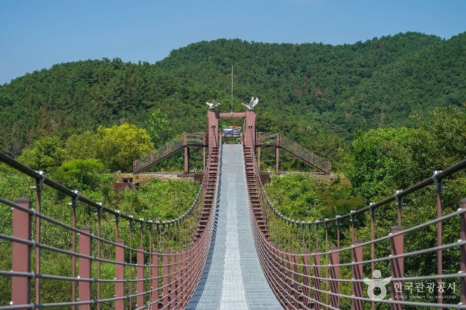 우포 출렁다리 