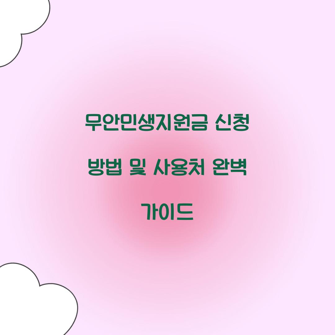 무안민생지원금