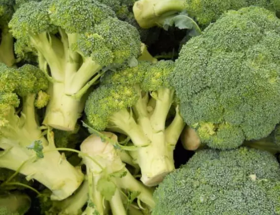 당뇨에-좋은-음식-건강