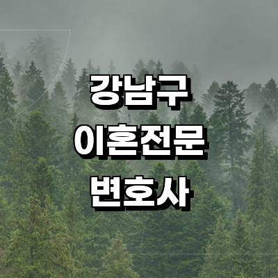 서울 강남구 이혼 변호사