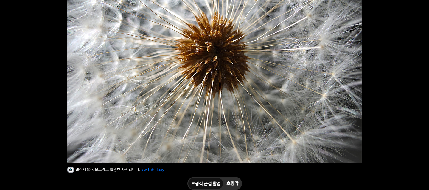 겔럭시 S25 완벽 분석 : 스펙&amp;#44; 가격&amp;#44; 기능&amp;#44; 구매 가이드