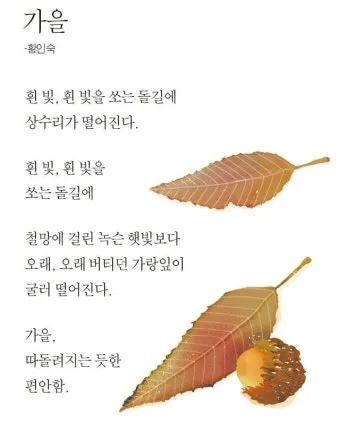 가을 시 모음 5편 추천 선별_18