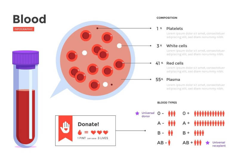 혈관 속 노폐물의 정도