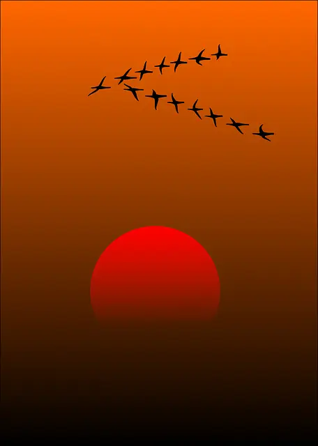 한로 뜻 날짜 음식 인사말