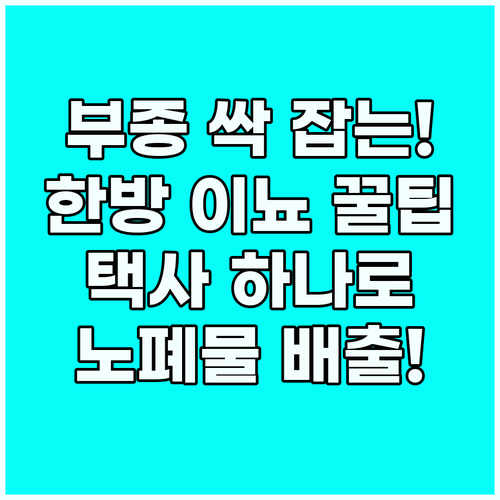 택사 체내 노폐물 배출과 부종 잡는 ..