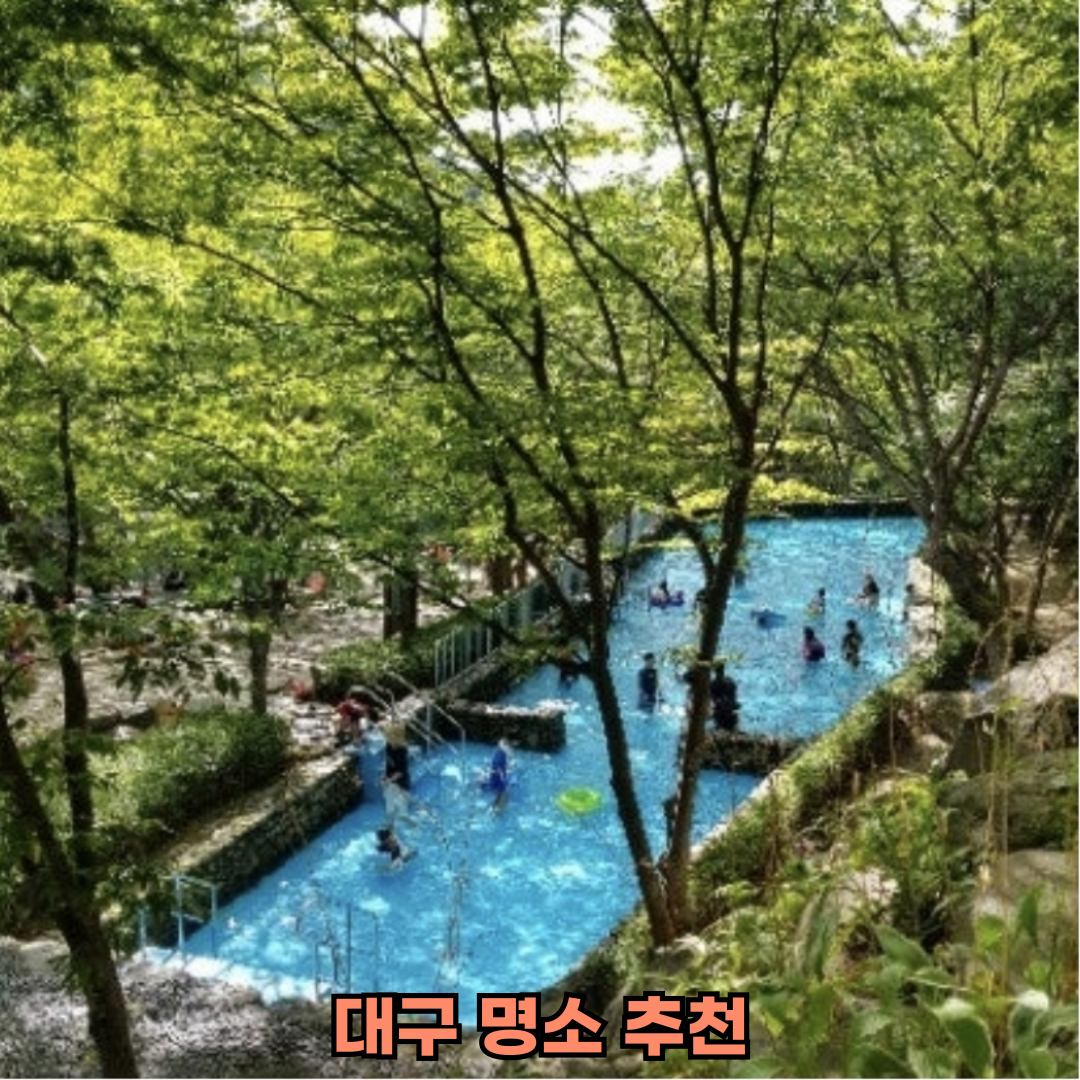 대구시민이 추천하는 봄 나들이 명소 당일치기 