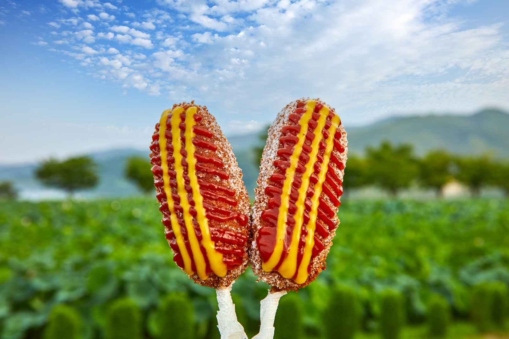 두물머리 핫도그