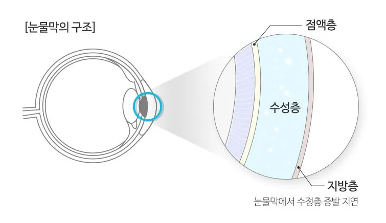 안국건강 식물성 오메가3 효능