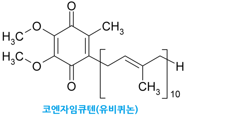 코엔자임큐텐