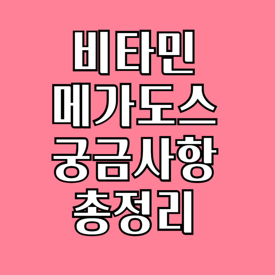 비타민메가도스꿀팁