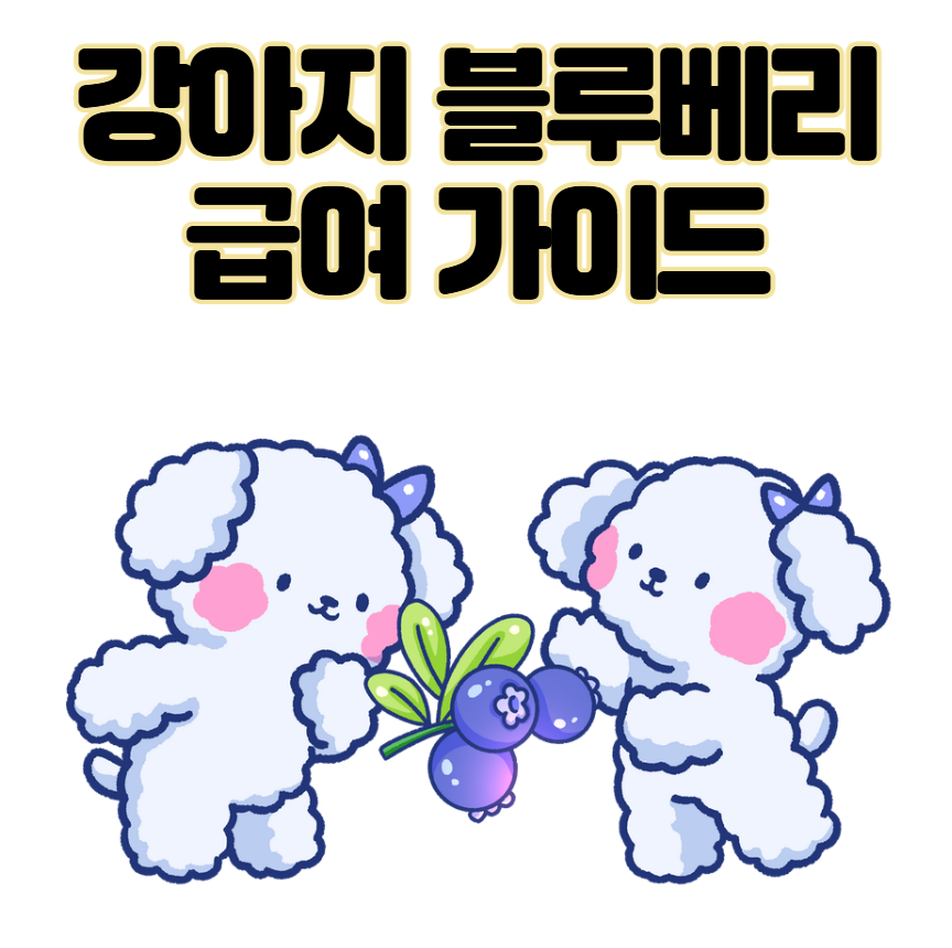 강아지 블루베리 효능 부작용 급여 주의사항 총정리