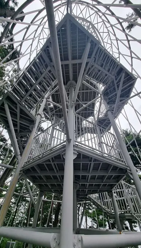 죽도정