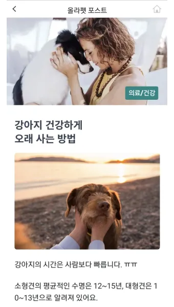 강아지 오래사는 신장관리 비법 생활습관_2
