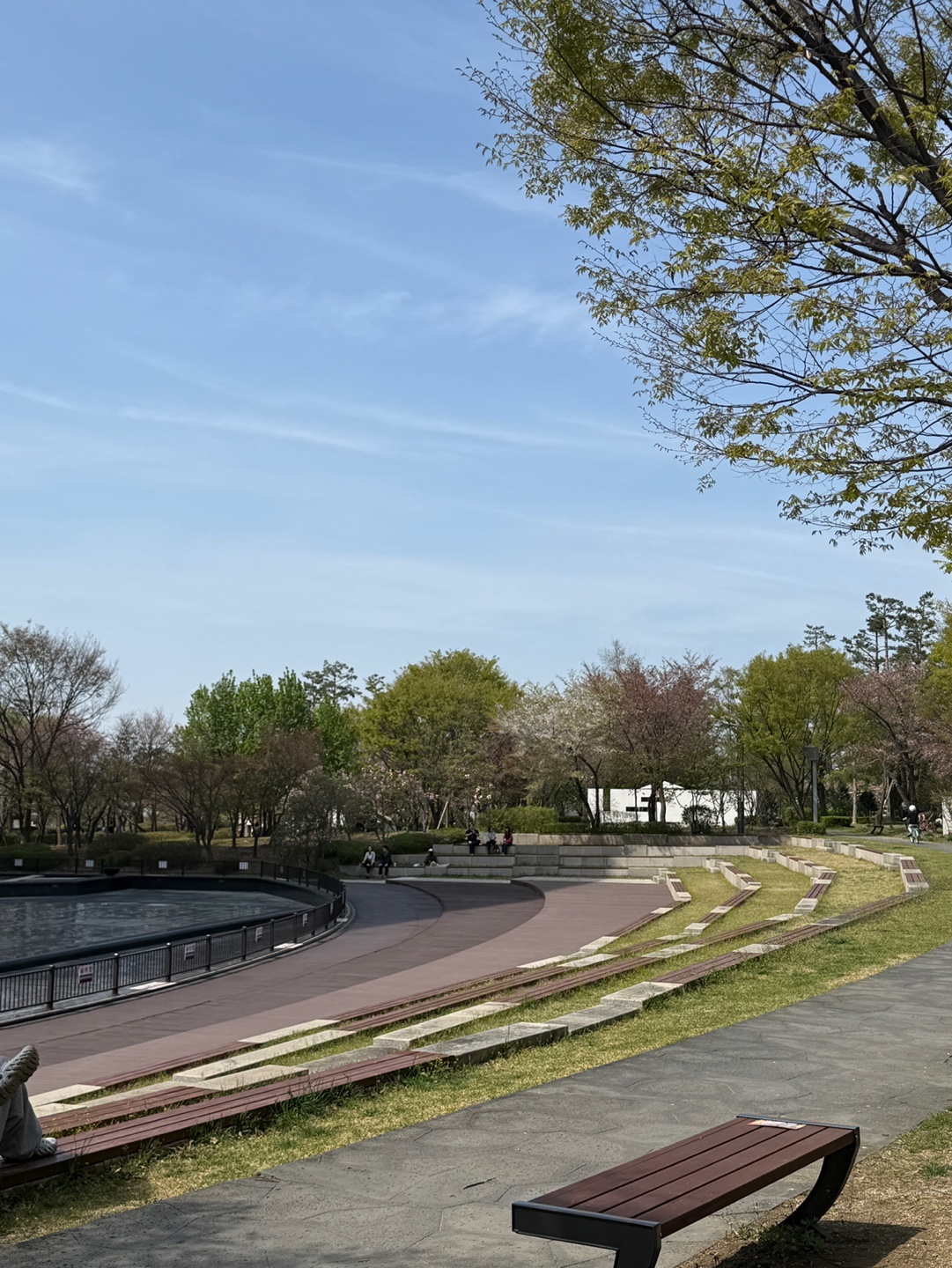 성남시청 분수광장 앞 나무 벤치 휴식 공간 아이와 방문