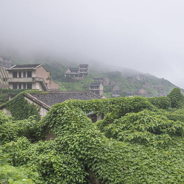 사람이 떠난 마을, 나만의 필름 사진을 담다– 전북 진안 마이산 아래 빈집촌 감성 여행