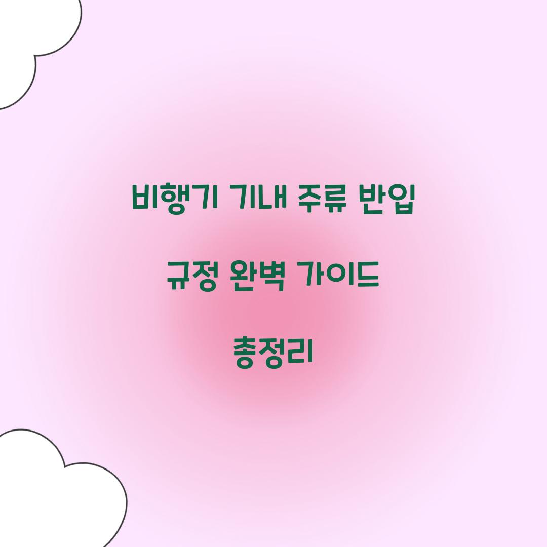 비행기 기내 주류 반입