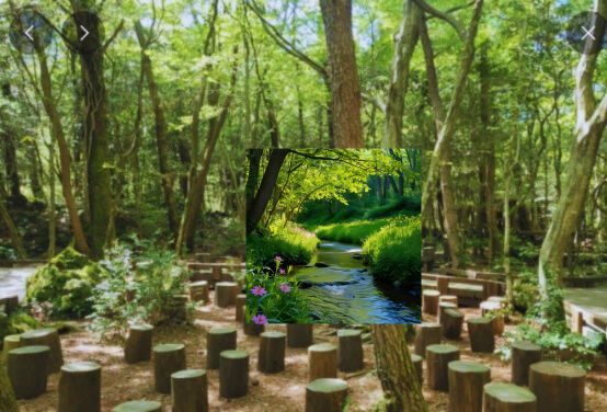 자연과 치유 관련 사진