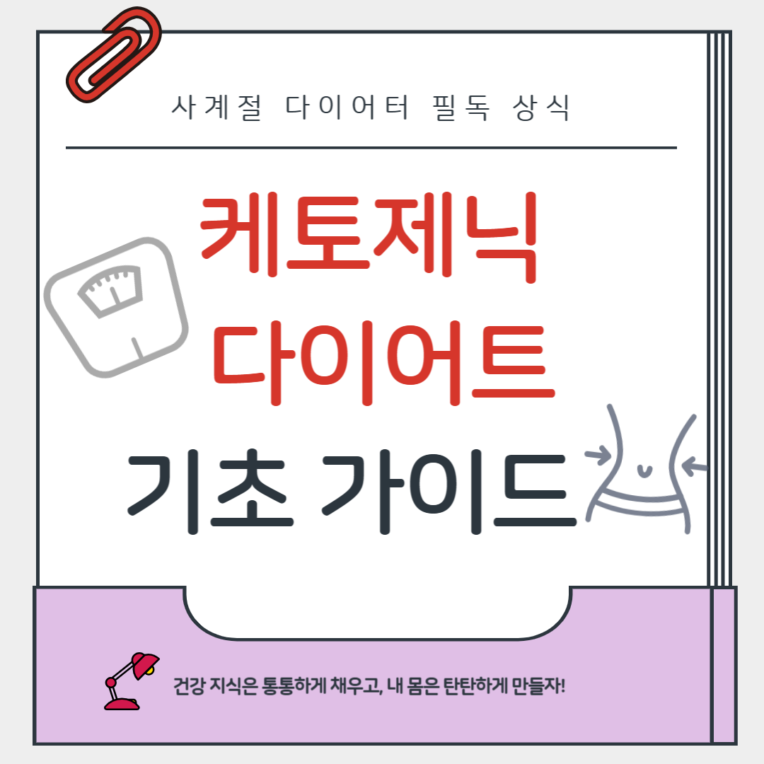 지방을 에너지로! 케토제닉 다이어트 기초 가이드