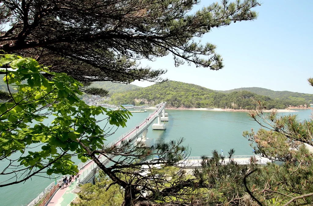 소무의도 무의바다누리길 초입인 안산 오르막길에서 바라본 소무의인도교 전경