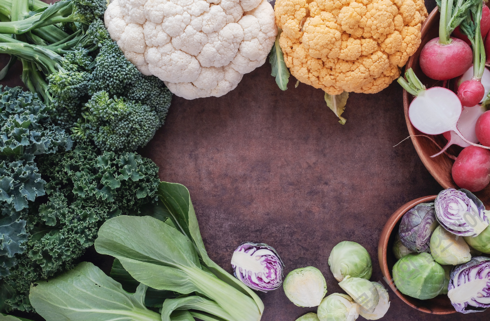 저탄고지 식단 음식 종류